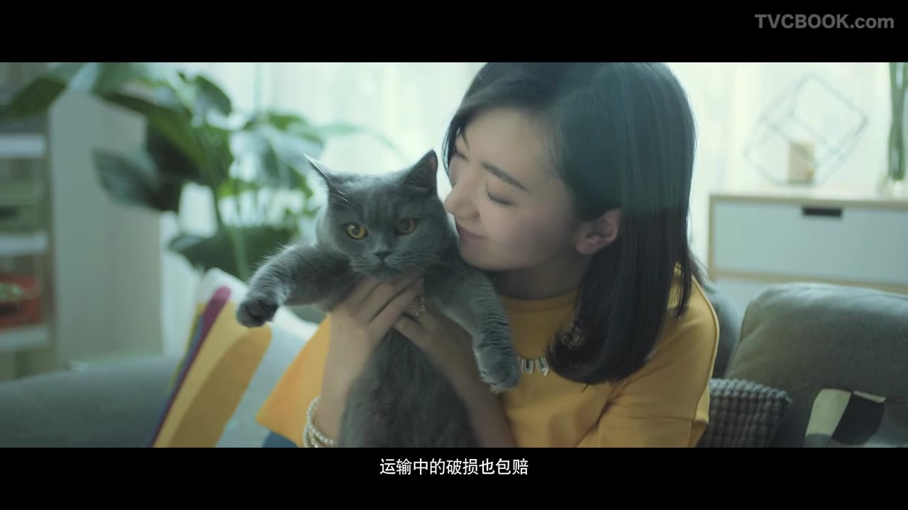 众安保险