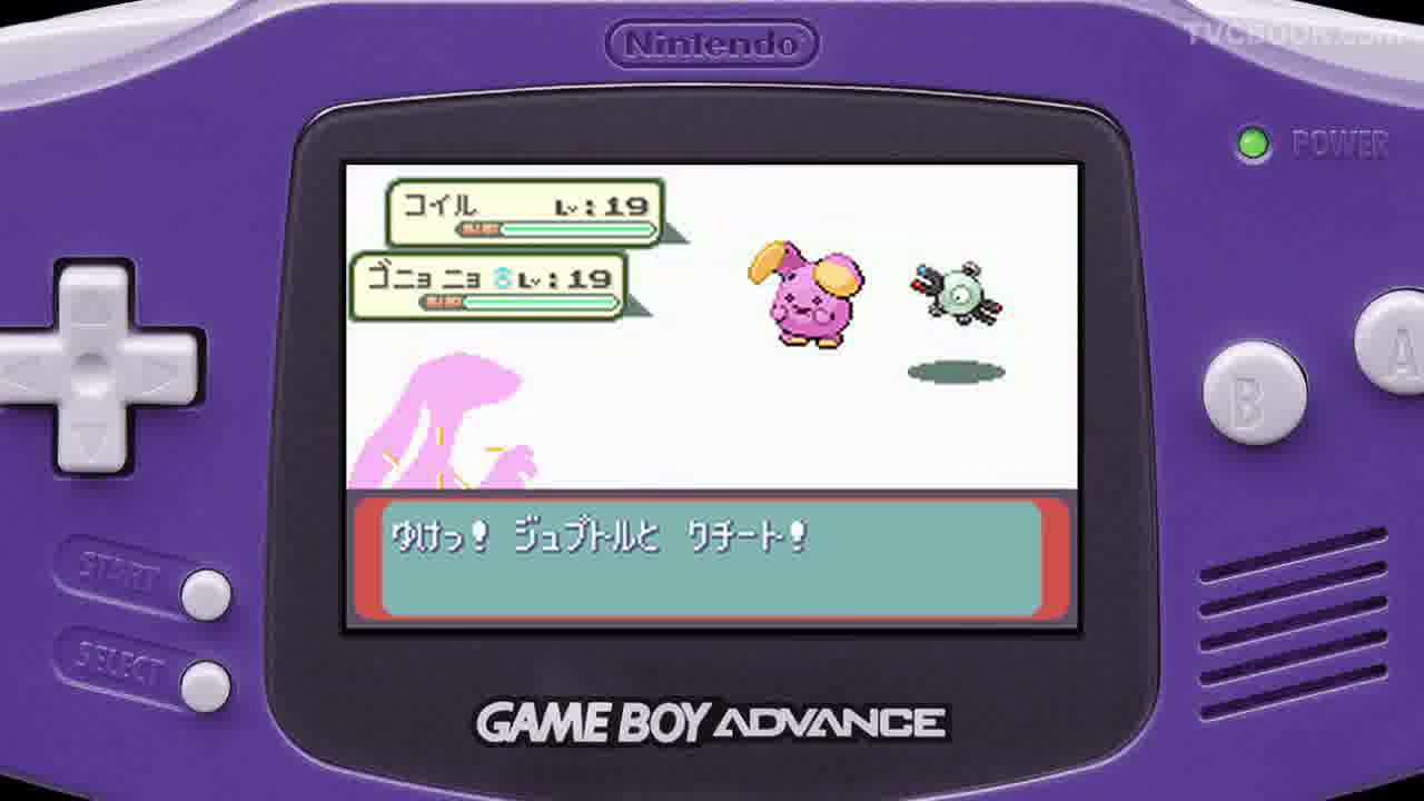 インタビュアー ポケモン ルビー サファイア あれから12年 Tvcbook