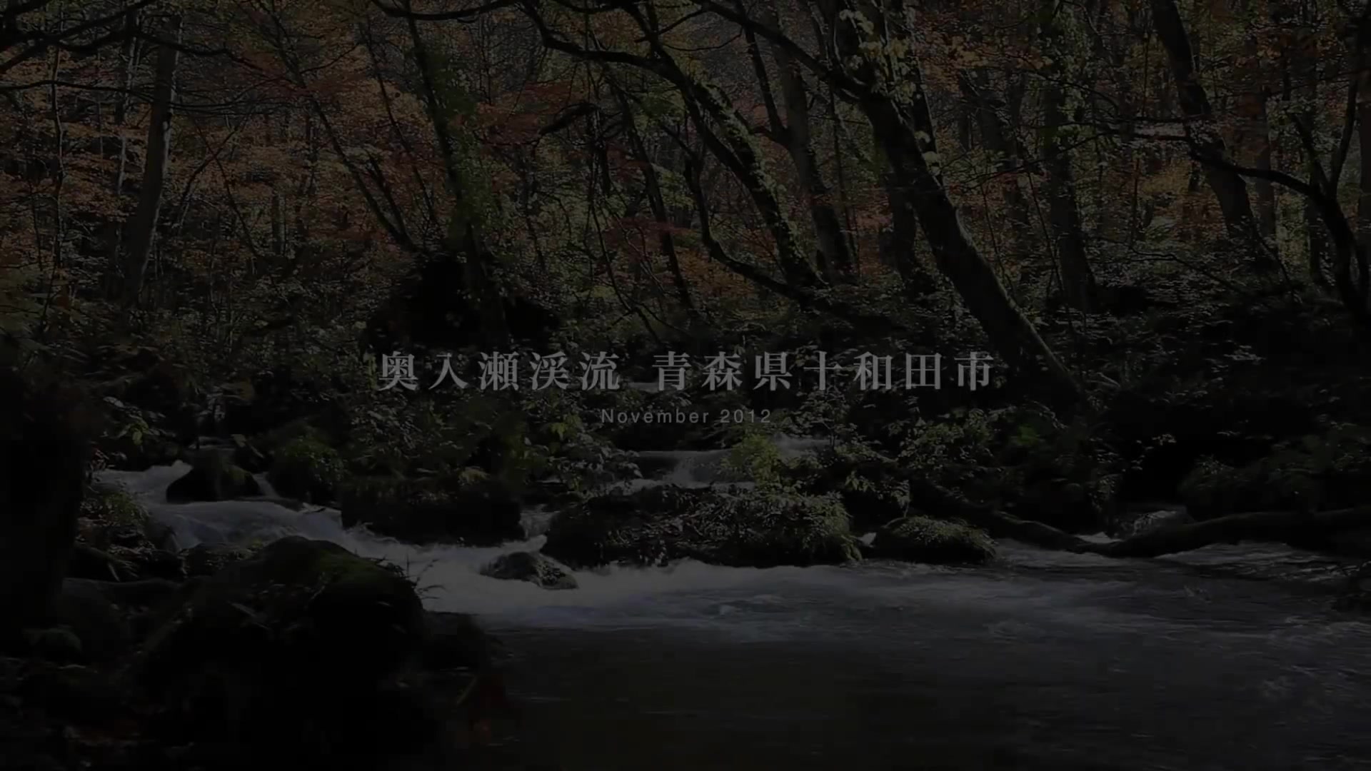 Relaxing Nature Sounds And Autumn Colors 奥入瀬渓流 青森 Tvcbook