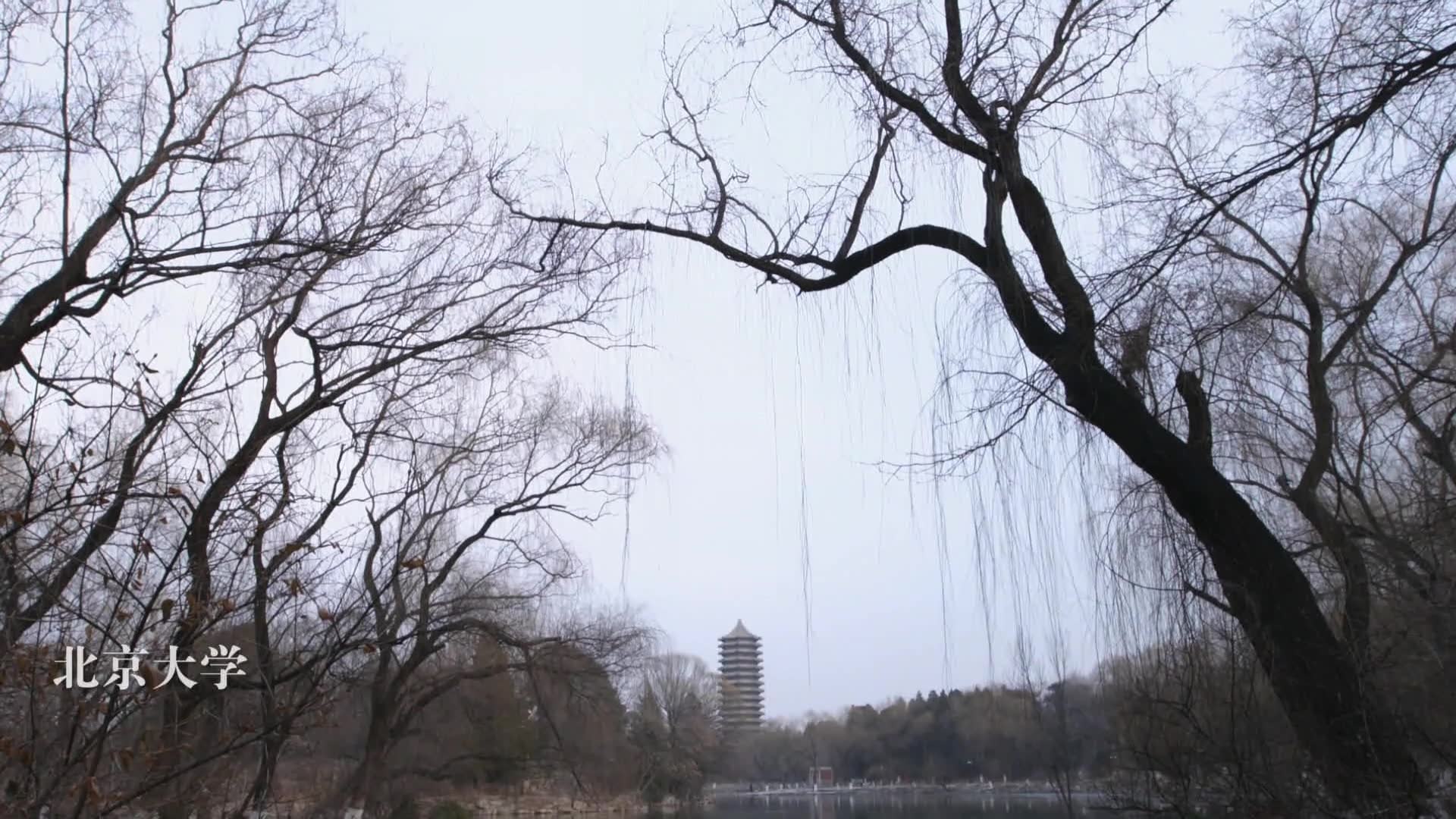 收藏家麥溥泰：中國歷史上哪個朝代的人最會玩？