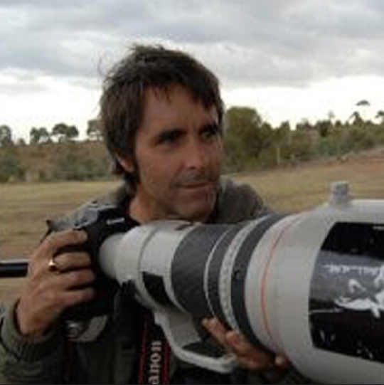 Matt Wilson