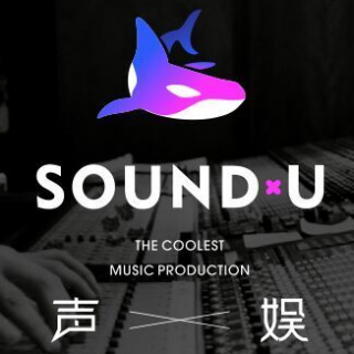 成都声娱