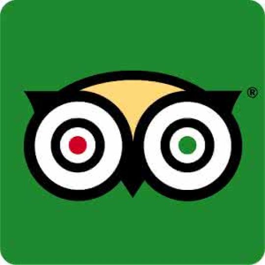 猫途鹰 TripAdvisor
