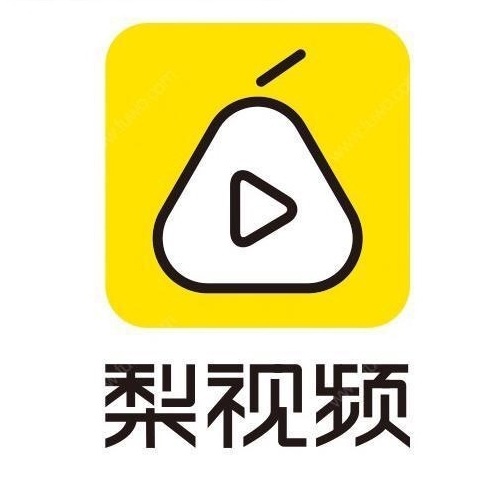 上海新梨视网络科技有限公司