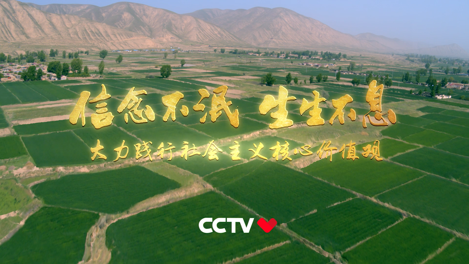 CCTV  - 《六老汉治沙篇TVC》