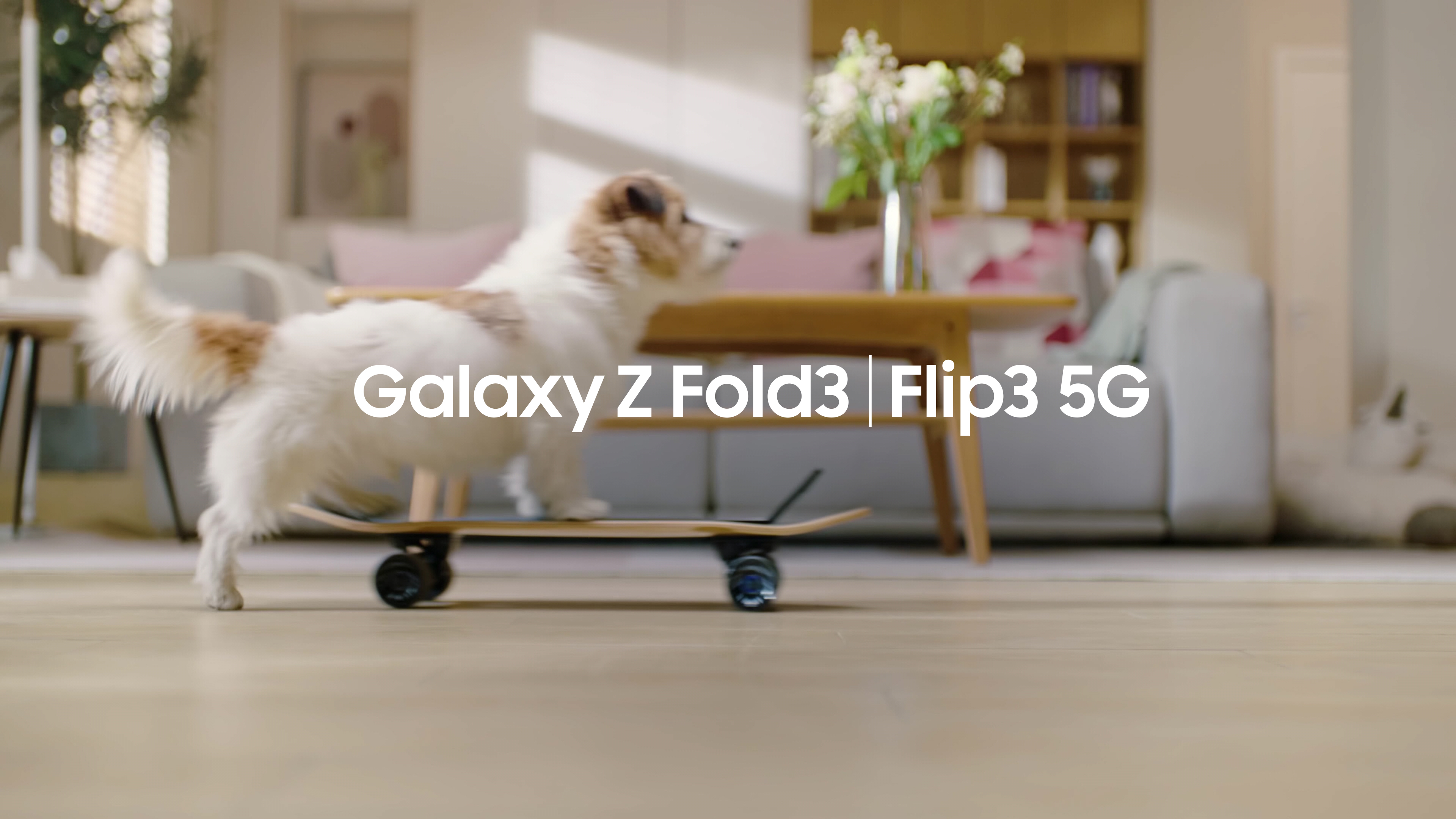 三星 Galaxy Z Flip3 5G 广告片/ 宠物篇