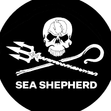 海洋守护者协会 Sea Shepherd
