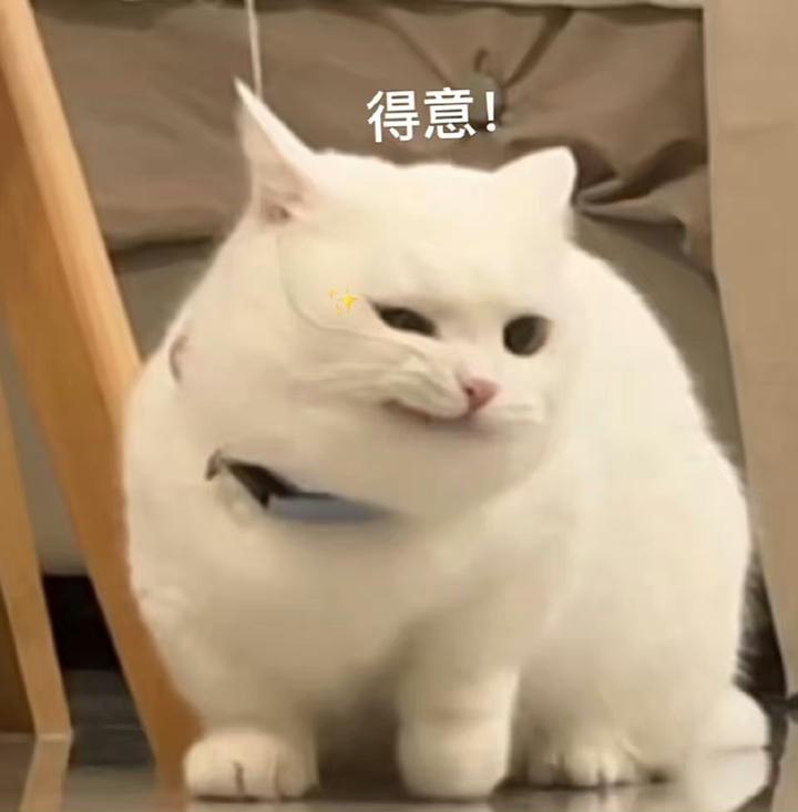 取月色二两
