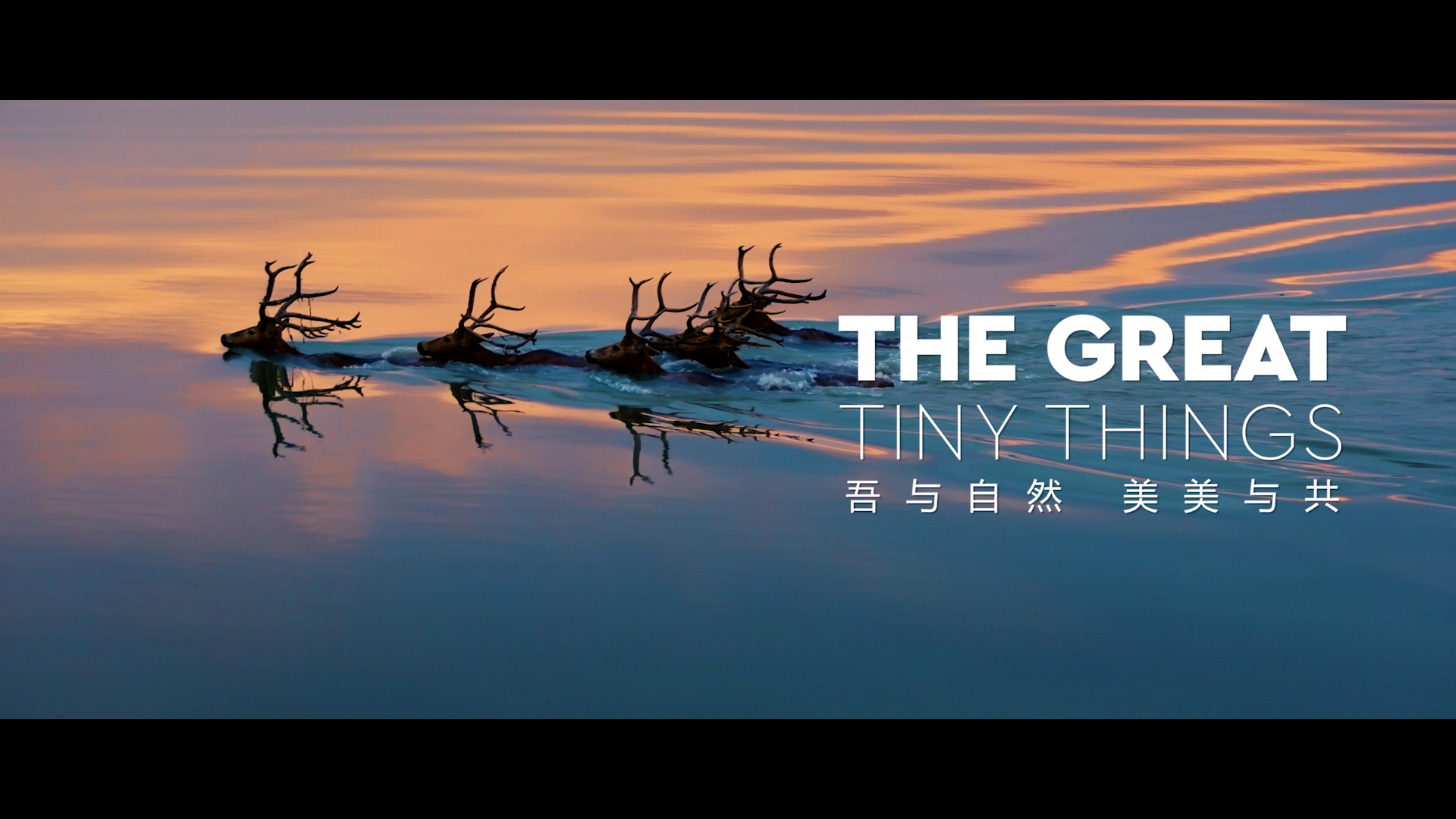 2023全球滨海论坛会议宣传片《THE GREAT TINY THINGS》