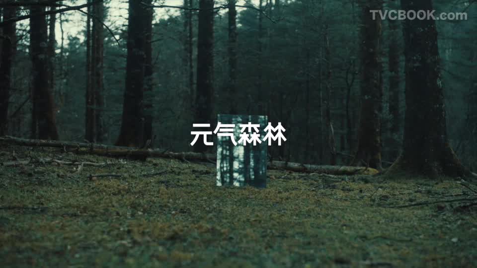 【元气森林】品牌理念片：元气·底气