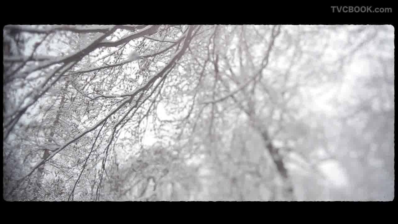 Winter morn - Noah