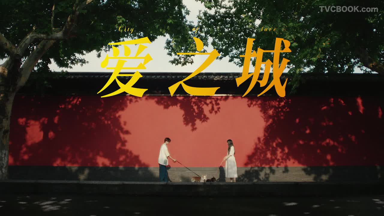 杭州亚运会宣传片-《爱之城》