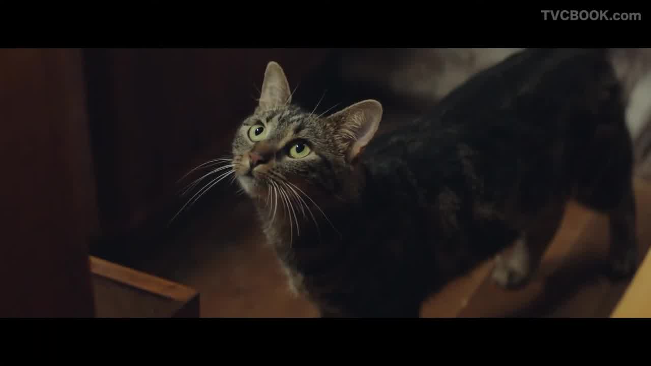 【YKK AP公式】窓と猫の物語 「Wait at home」篇 60秒