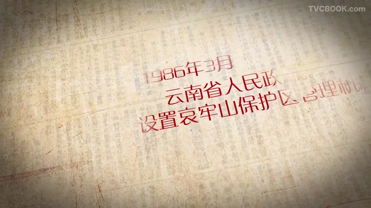 云南省森林管护局“哀牢山”宣传片