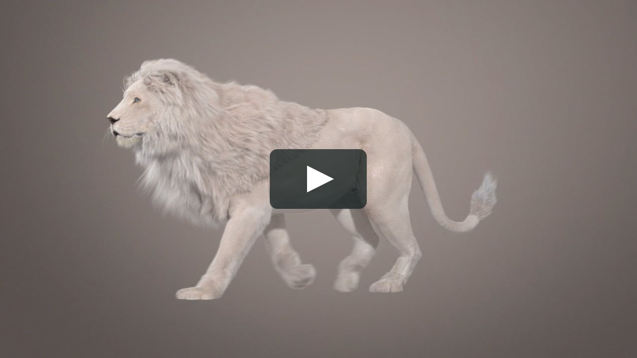 Pejoy - White Lion - Making Of