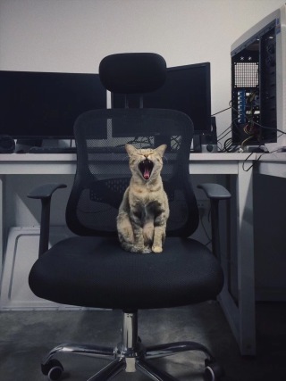 钟伟亮