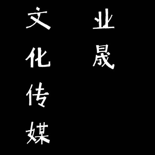 河南业晟文化传媒有限公司