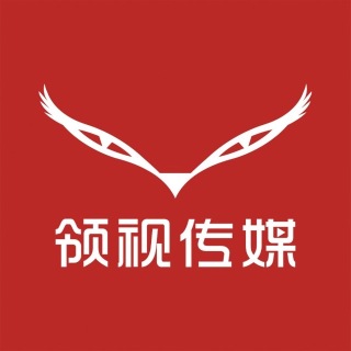 深圳市领视传媒有限公司