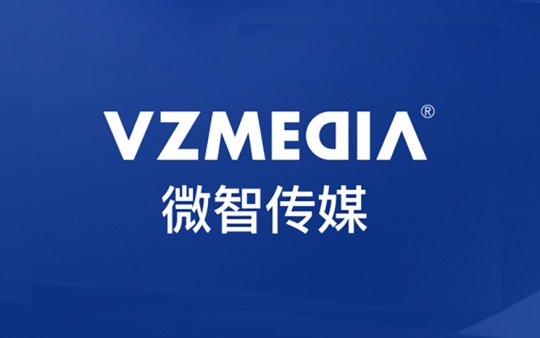 浙江微智文化传媒有限公司