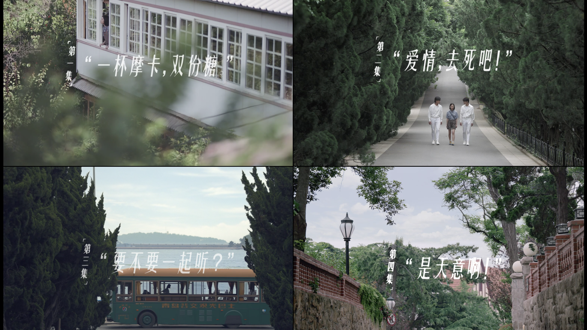 小度小度偶像剧《年轻人的智能伙伴》