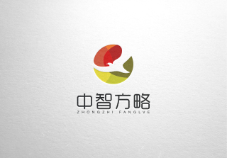 河南中智方略文化传播有限公司