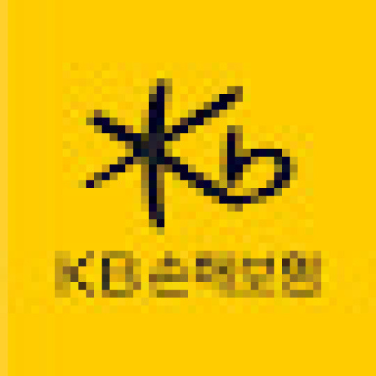KB손해보험