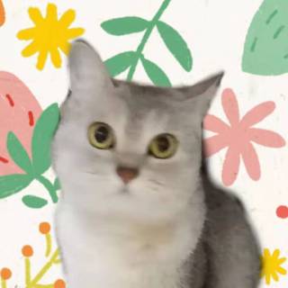 阔阔