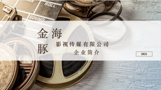 武汉金海豚影视传媒有限公司