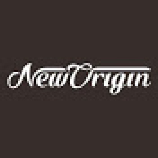 新起源 New Origin