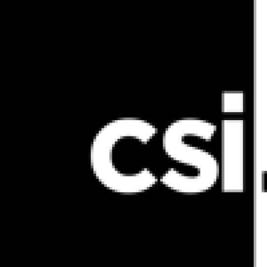 The CSI Group