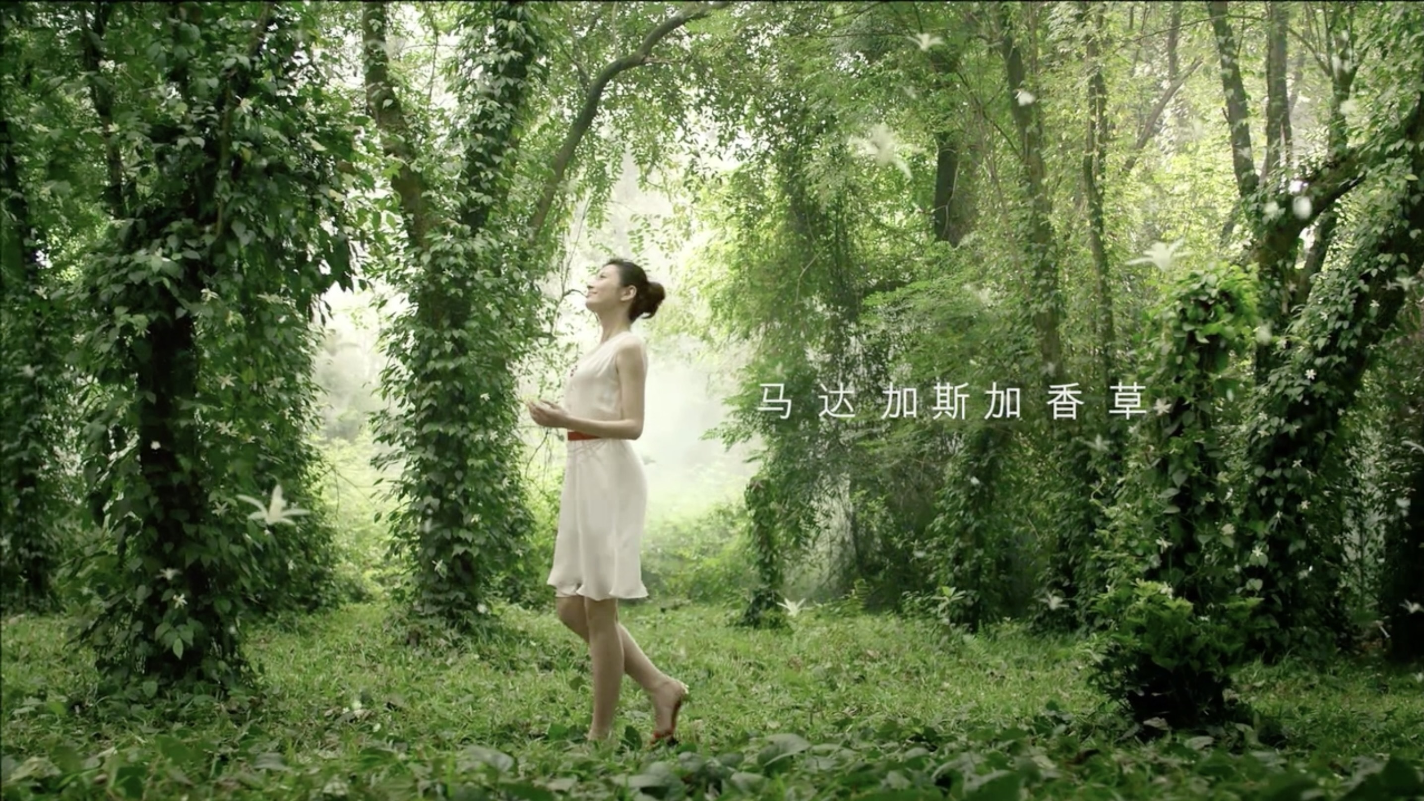 蒙牛蒂兰圣雪《自然》篇-汉狮