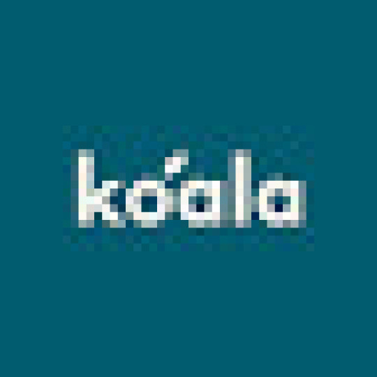 Koala Korea
