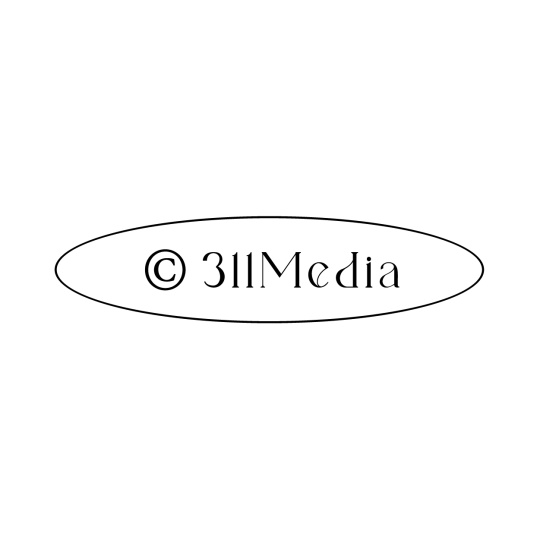311 MEDIA