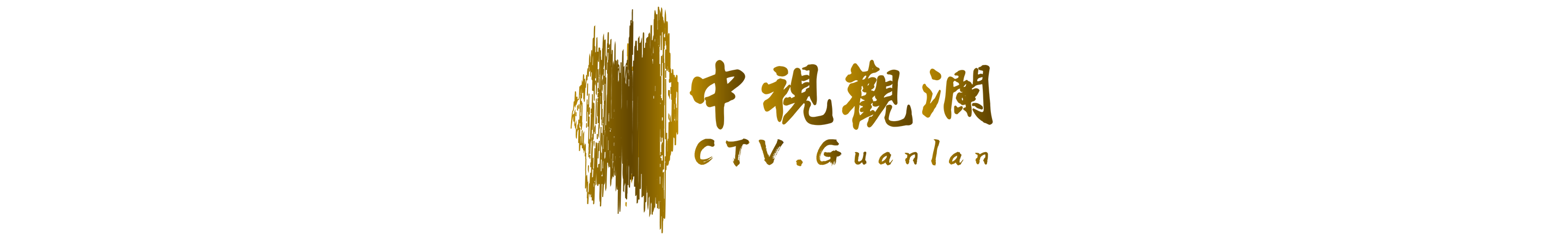 中视观澜北京