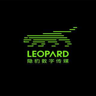隐豹数字传媒