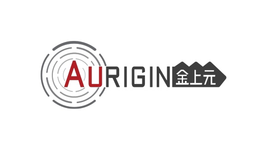 北京金上元