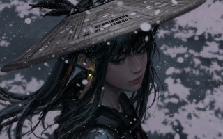 凯风
