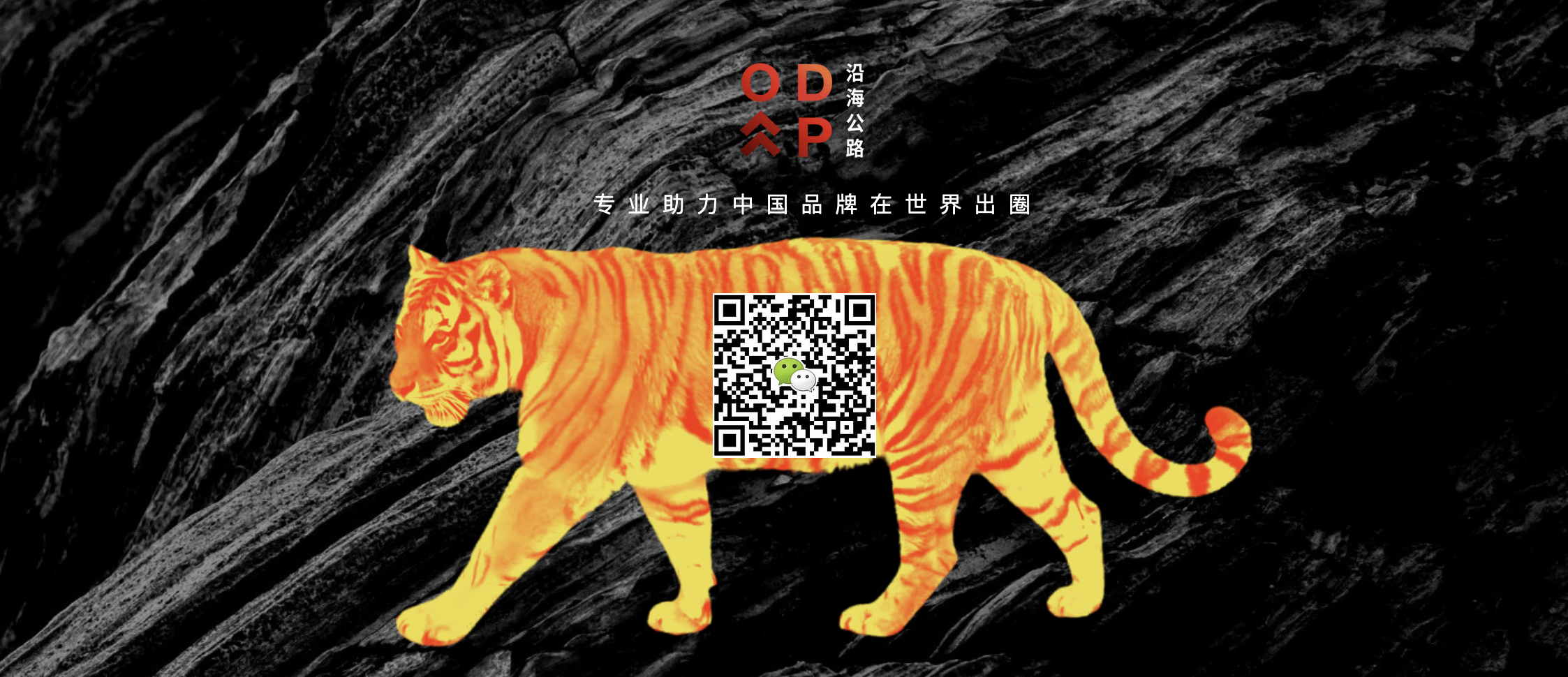 成都沿海公路文化传播有限公司