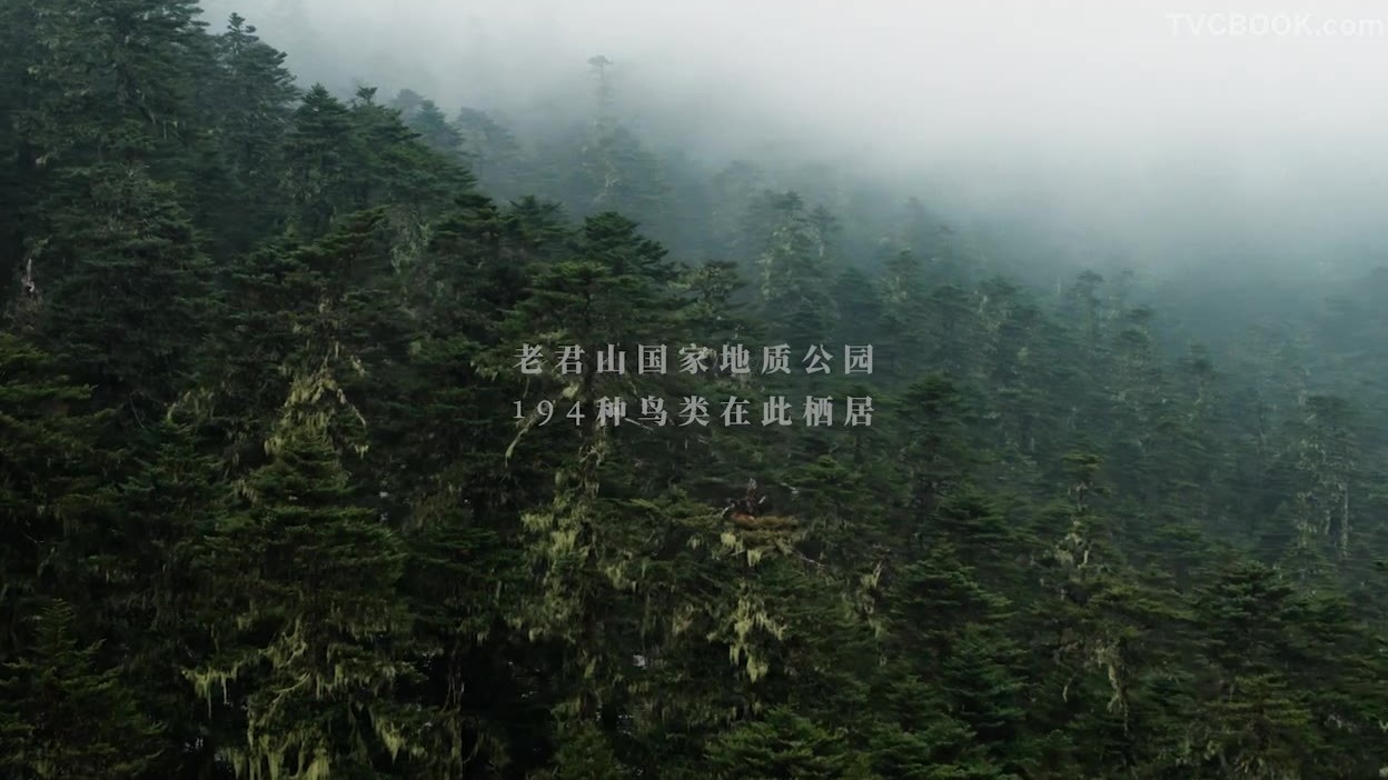 美丽诺羊毛 #与自然相生 