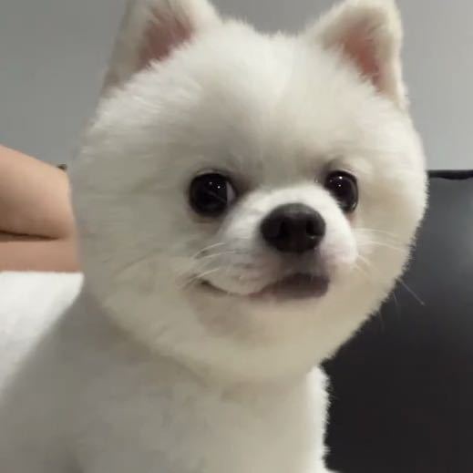 吕京泽