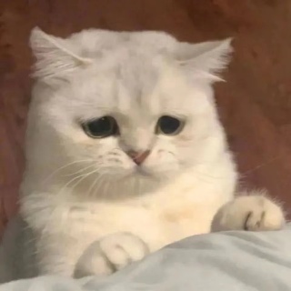 黎瞬