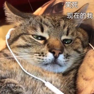 北极熊一根毛