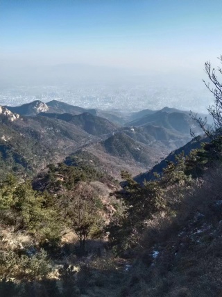 niuniudechuntian