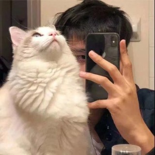 MING