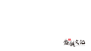 盛骐VISION