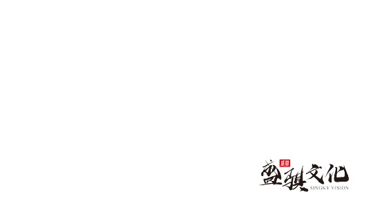 盛骐VISION