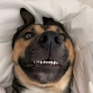 有点帅的帅哥