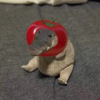 tomatobluu