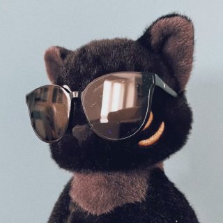 王展辉