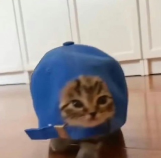 咖喱